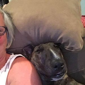 Meet your Posher, Judy